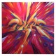 Tableau by Tigre